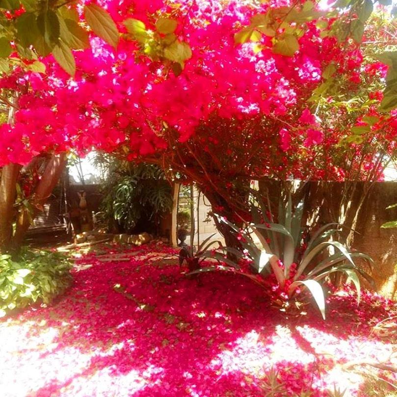 Pousada Rota Dos Passaros São Bento do Sapucaí Exterior foto
