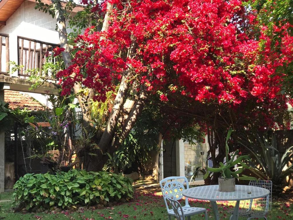 Pousada Rota Dos Passaros São Bento do Sapucaí Exterior foto